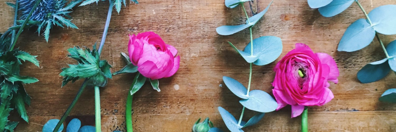 clairemenary's profile banner image