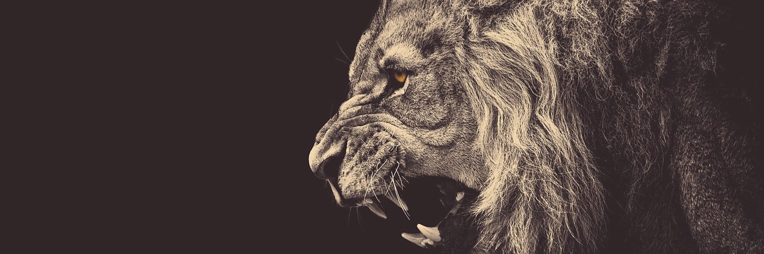 pjc245's profile banner image