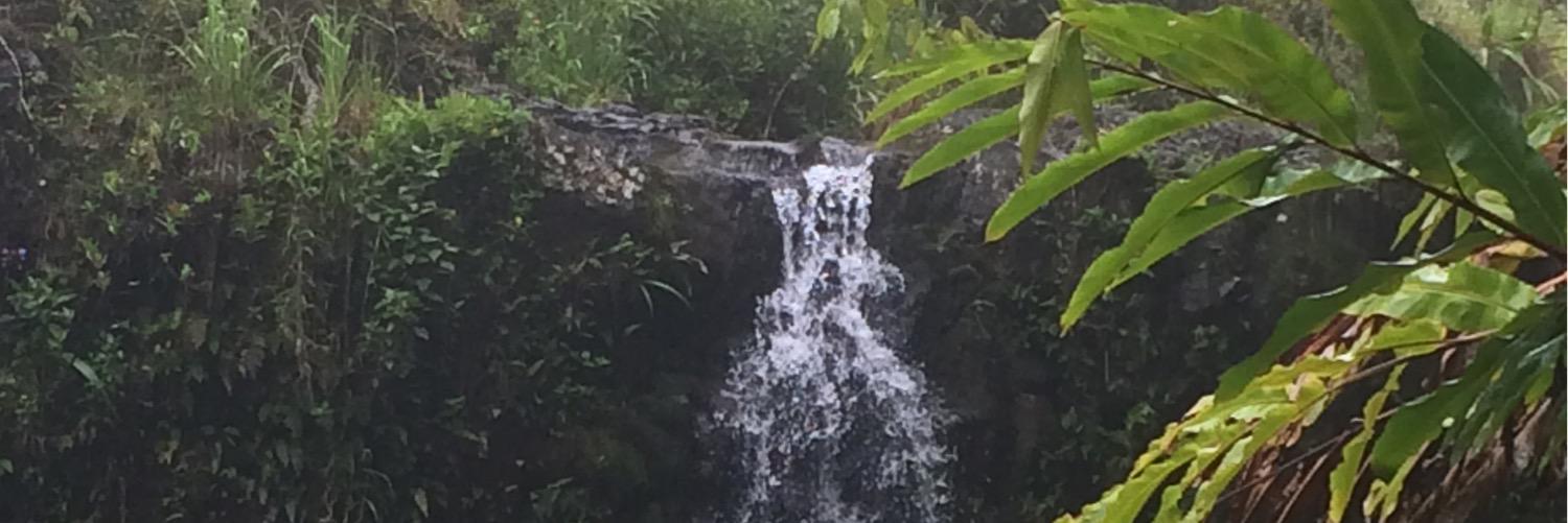 daniellePFloyd's profile banner image