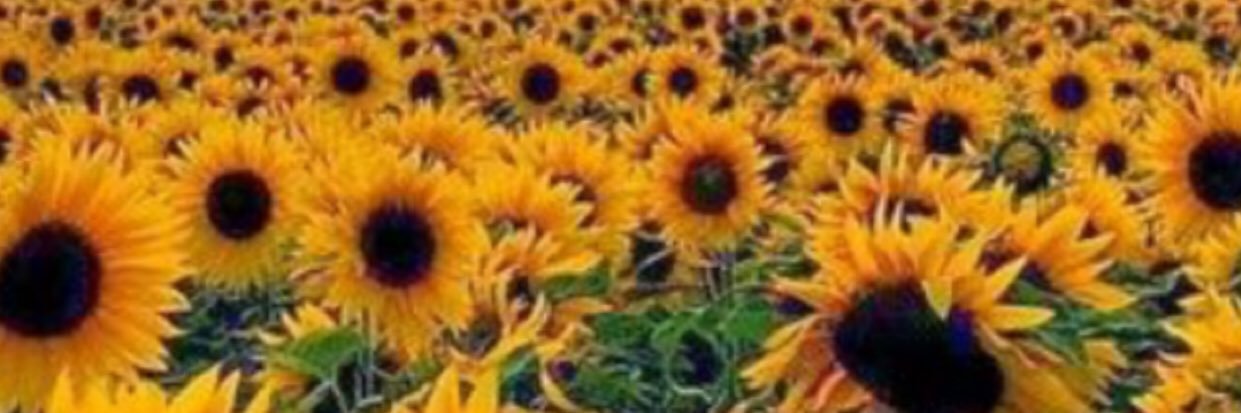_prettierthanU's profile banner image