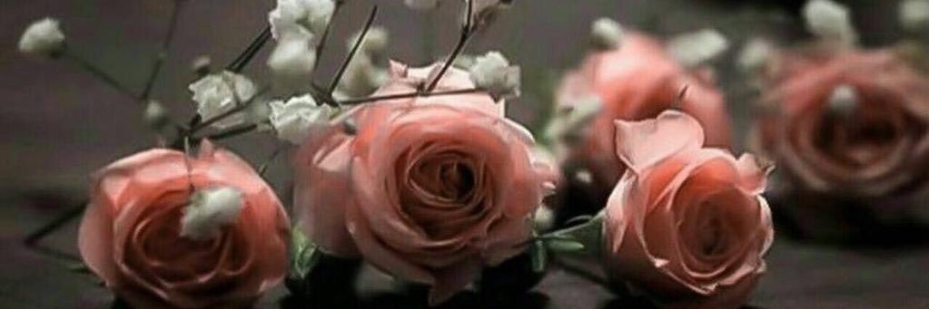 noura2279's profile banner image