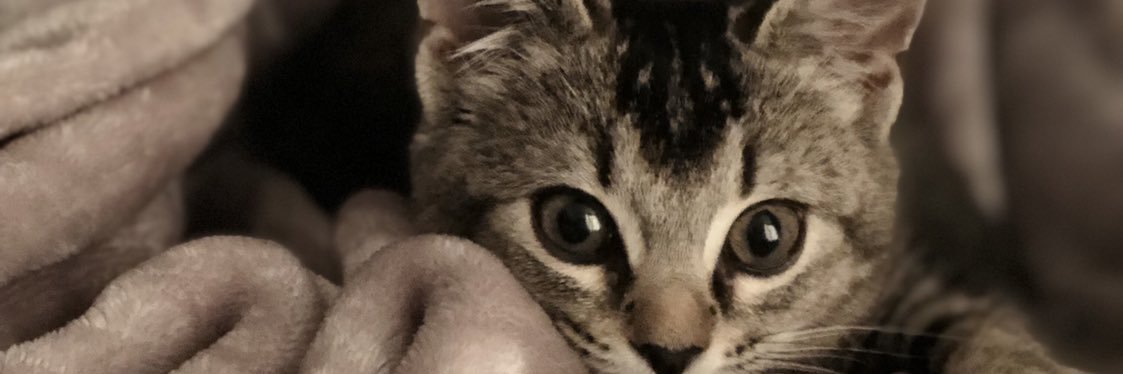 Abbeyejones1's profile banner image