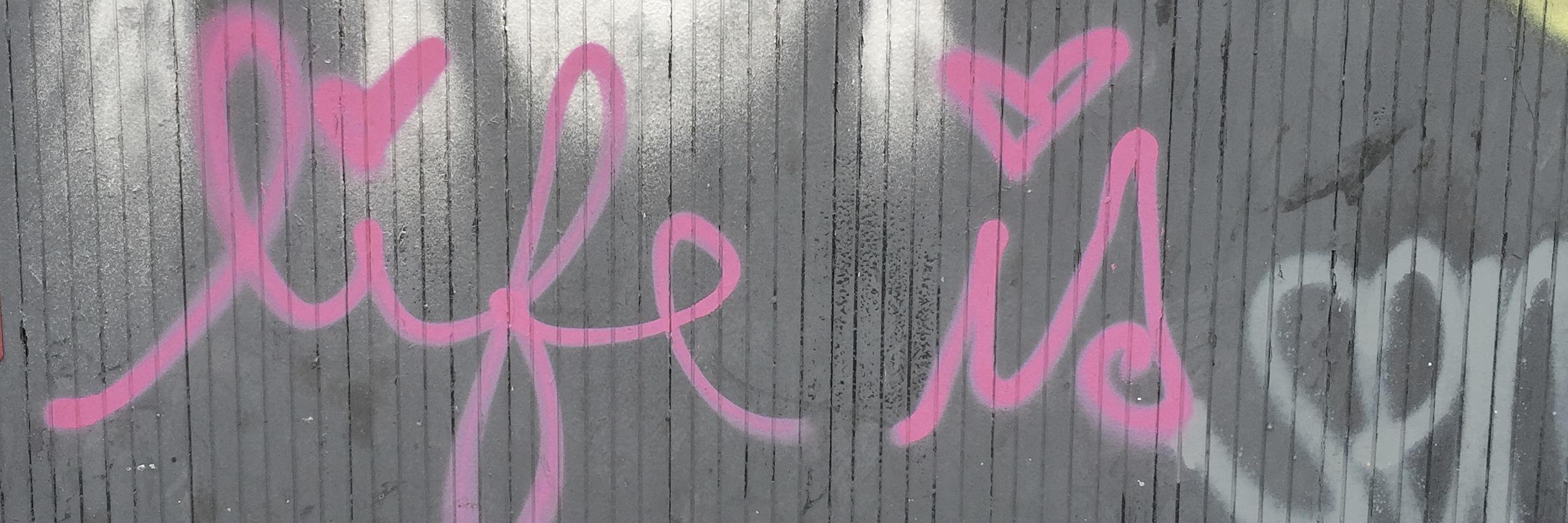 lfrosenbaum's profile banner image