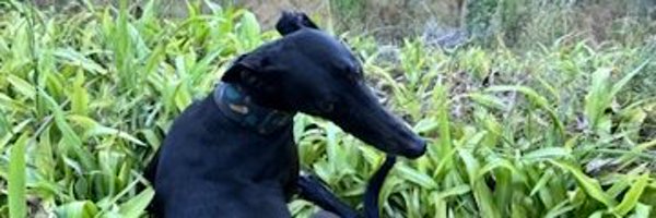 macrojustin Profile Banner