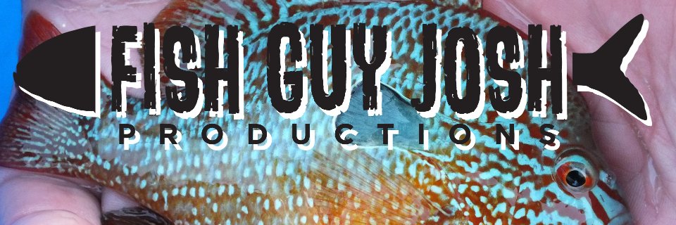 FishGuyJosh's profile banner image