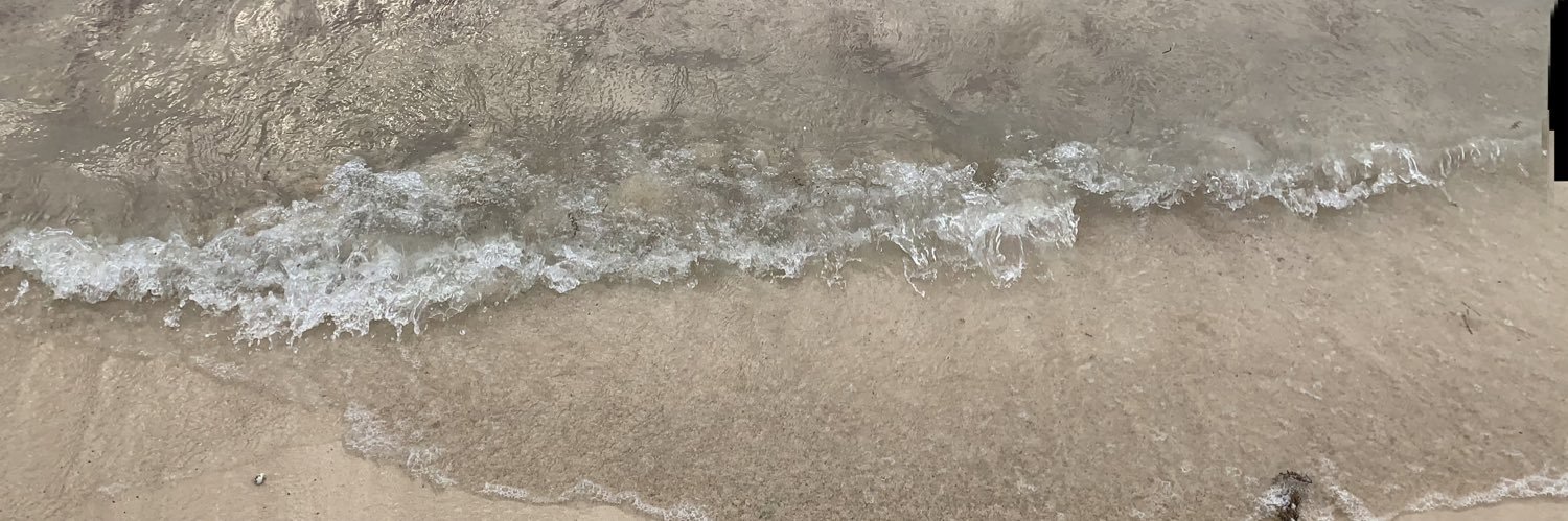 Rahaf alsubhi banner