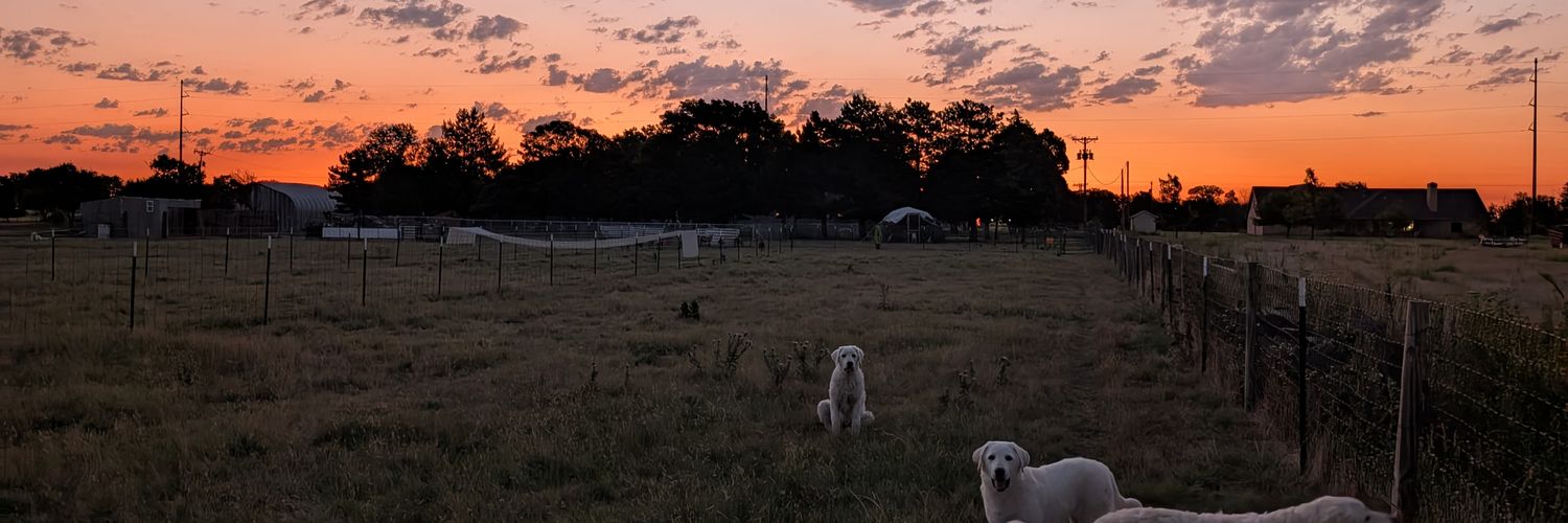 Darrell Glenn aka Ca banner