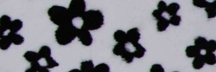 lev_jung18's profile banner image