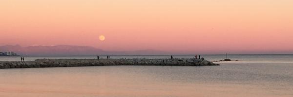 Kaajito Profile Banner