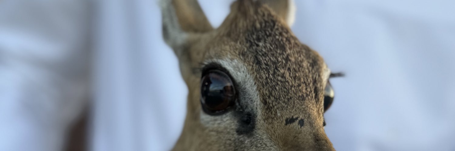 ✖️⭕️ “J” banner