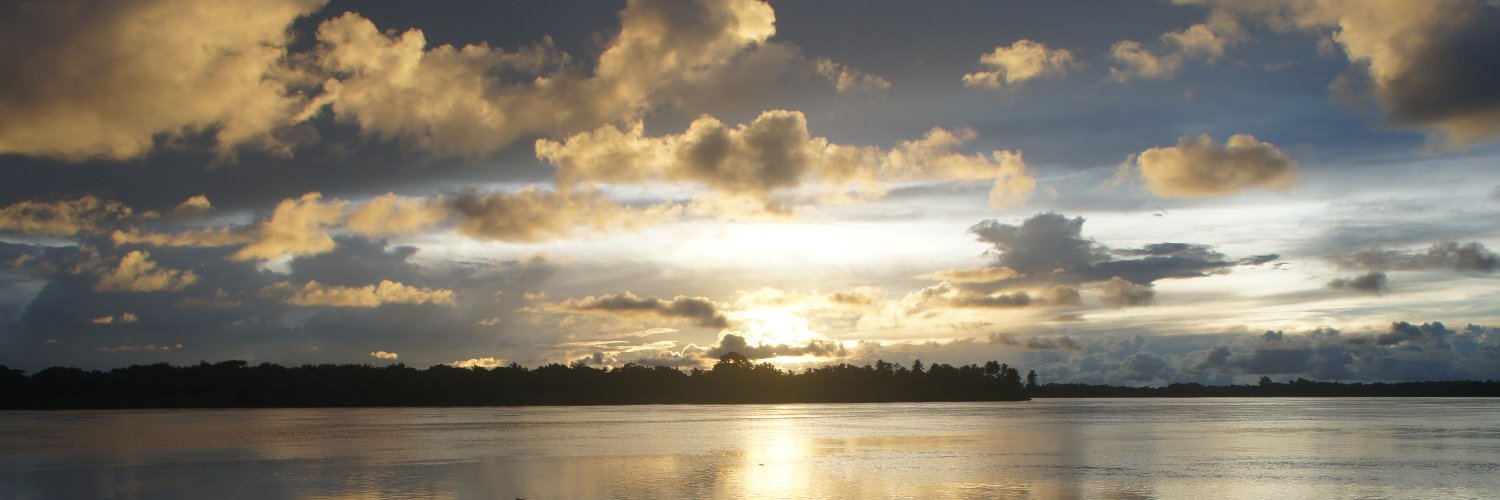 polybsilva's profile banner image