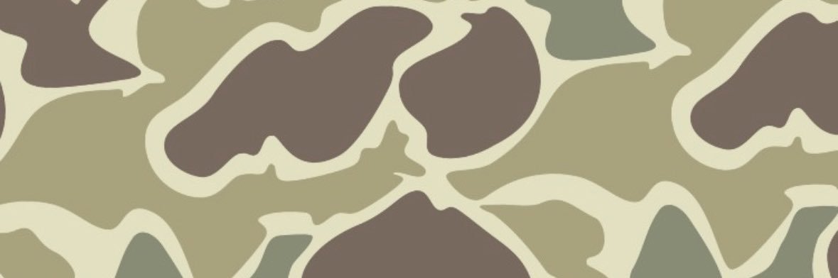 Thelarsonator10's profile banner image