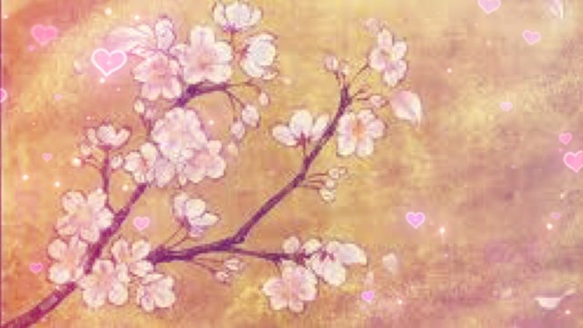 micups's profile banner image