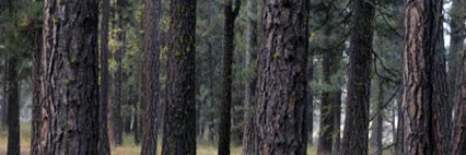 NickMouritsen's profile banner image
