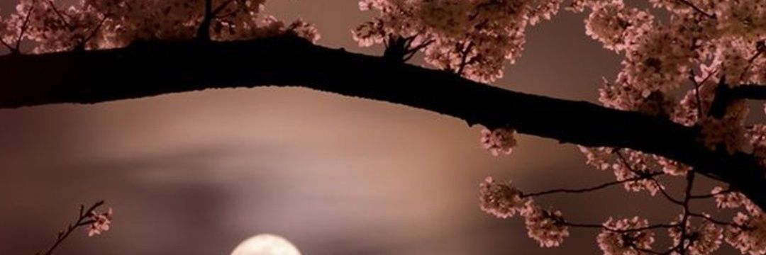 DQX_kaoru's profile banner image