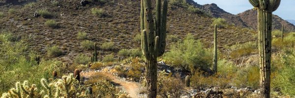 BabsSH Profile Banner