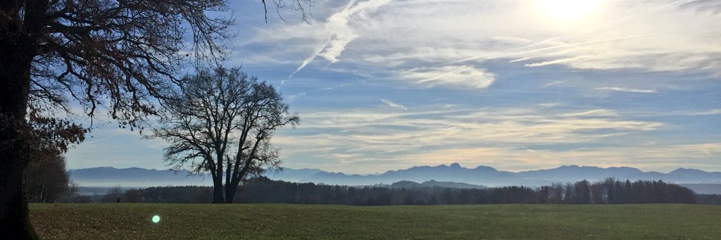 Dominik Böhner banner