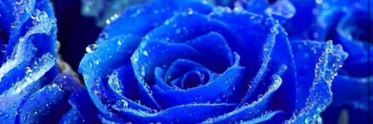 KierraDiamond's profile banner image