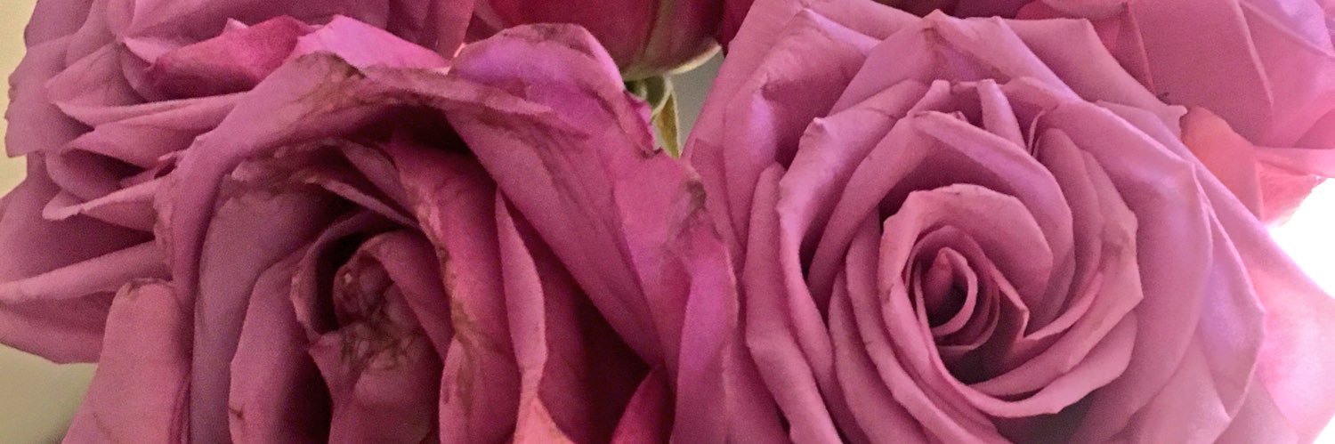 JheriH's profile banner image