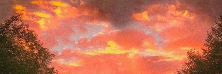 Canndydoll's profile banner image