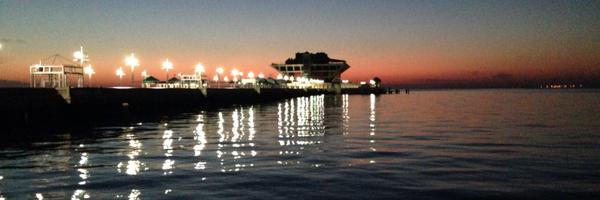 FallonSilcox Profile Banner