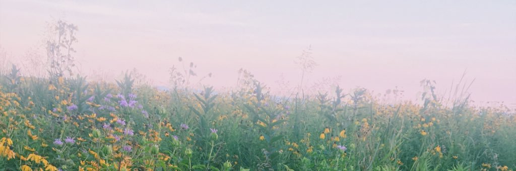bwee98's profile banner image