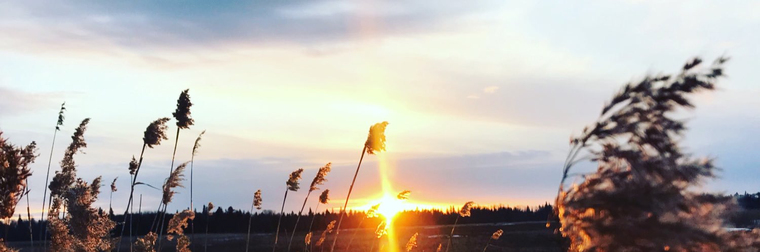 WhiteheadHarlos's profile banner image