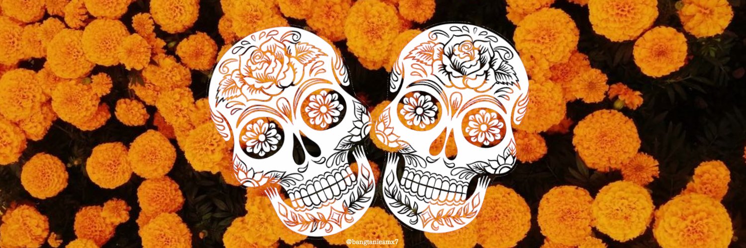 americastillo29's profile banner image