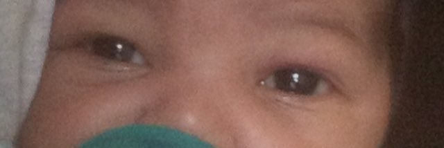 🌸 banner
