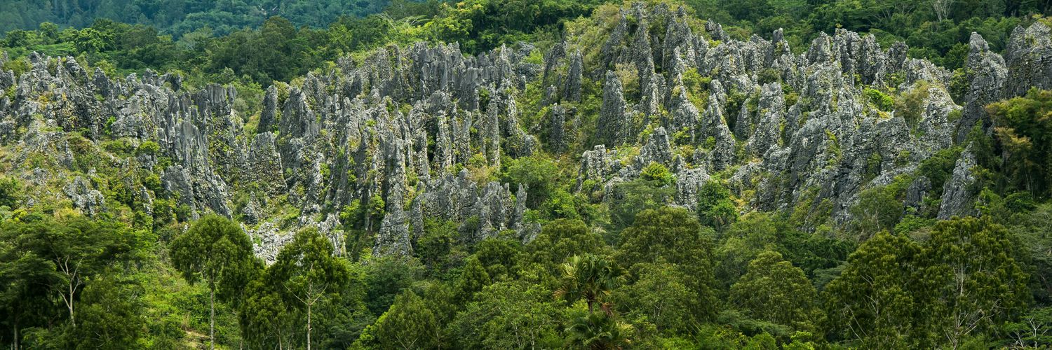 VisitToraja's profile banner image
