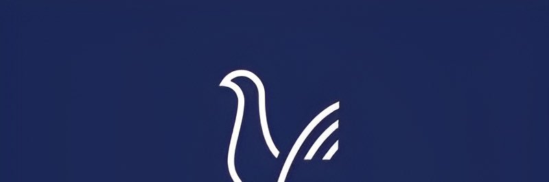 _spurs116's profile banner image
