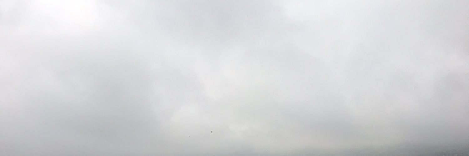 RobynPony's profile banner image