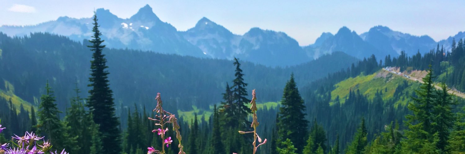 RobbySchwartz1's profile banner image