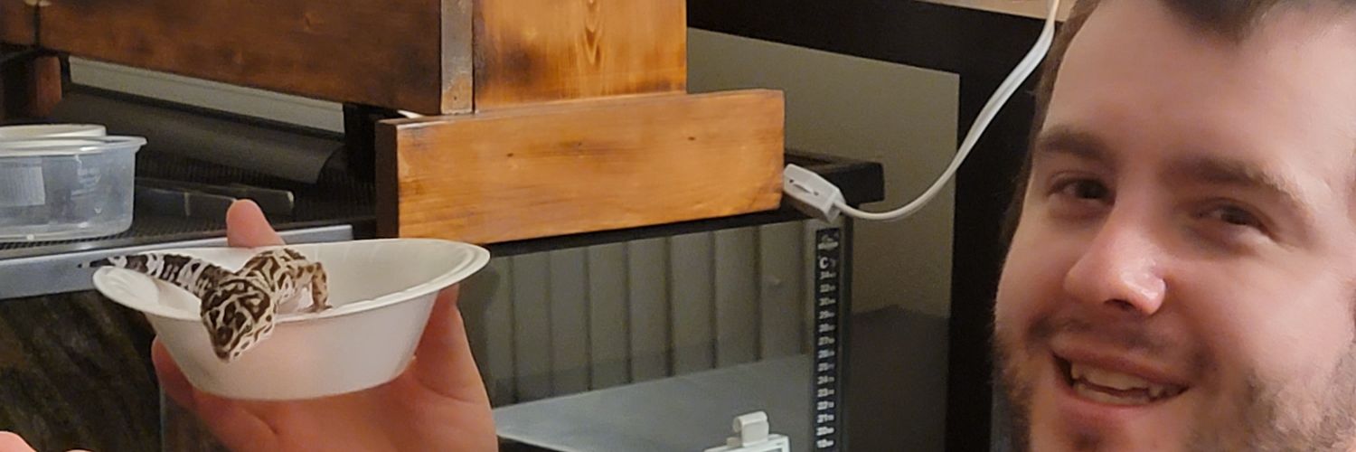 DissyChrissy's profile banner image