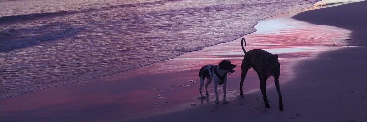 manillan's profile banner image