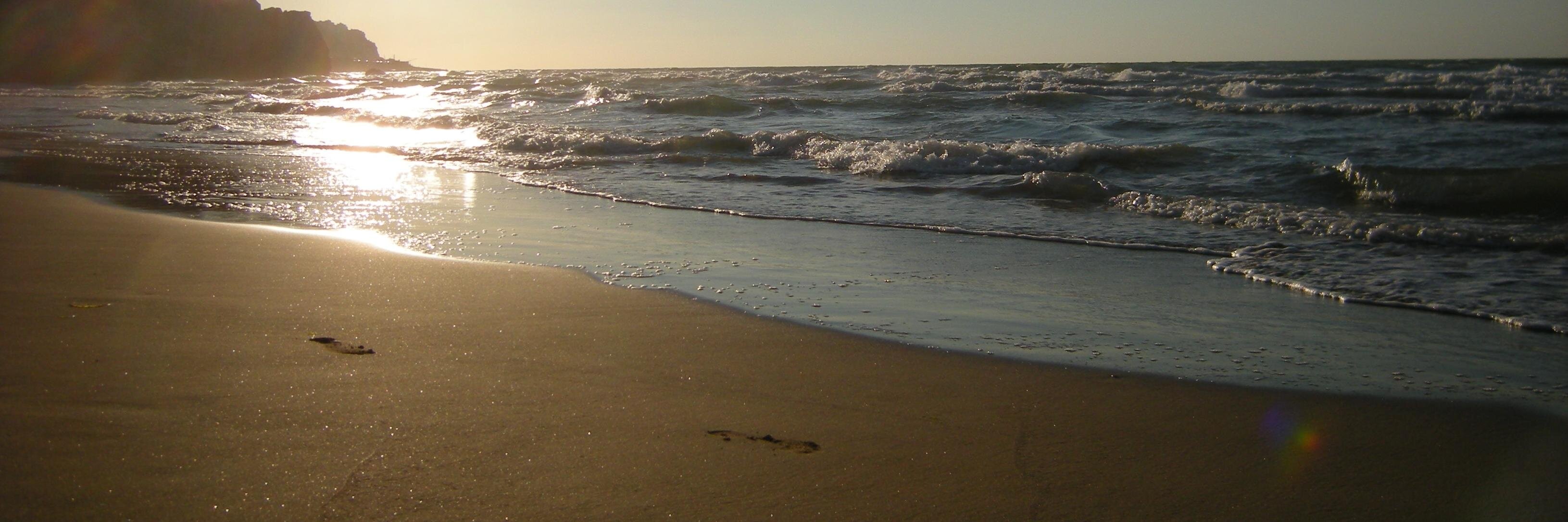 Daniele Mambelli banner