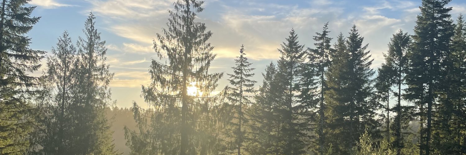 Ravencee's profile banner image
