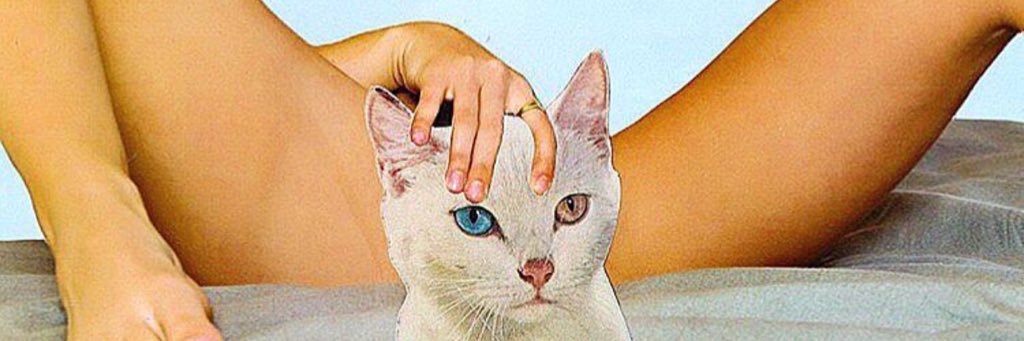 SummerRoseMart2's profile banner image