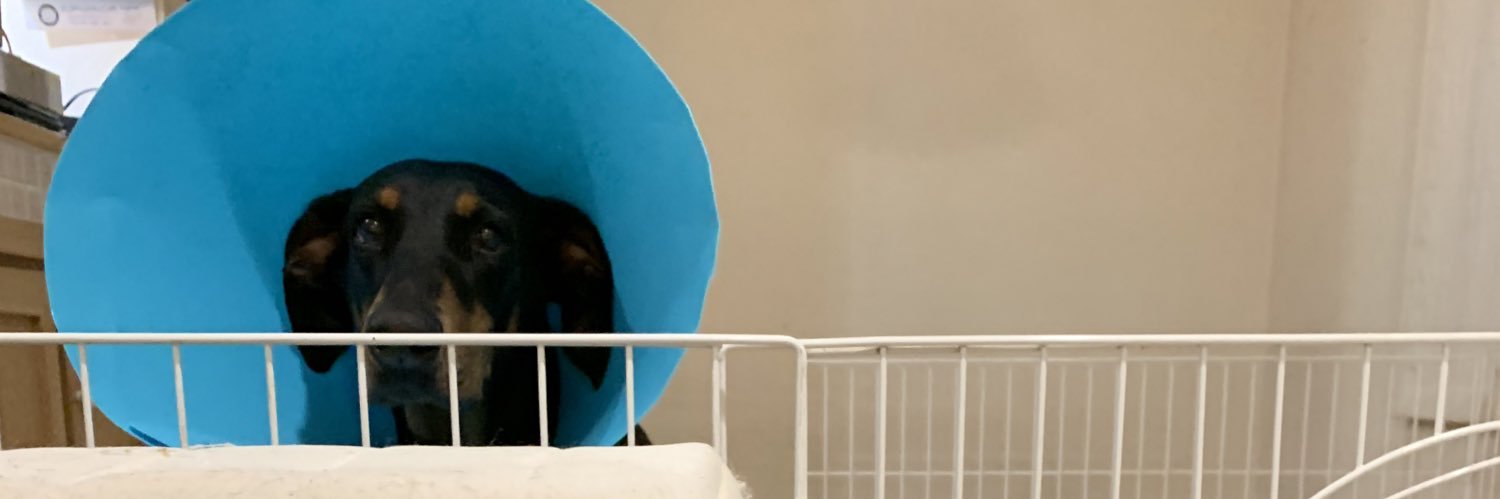 sknwr4's profile banner image