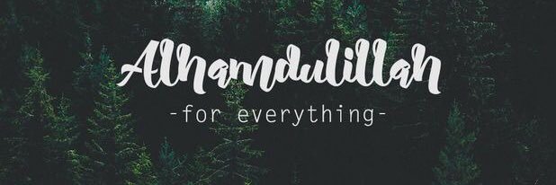 lelilul's profile banner image