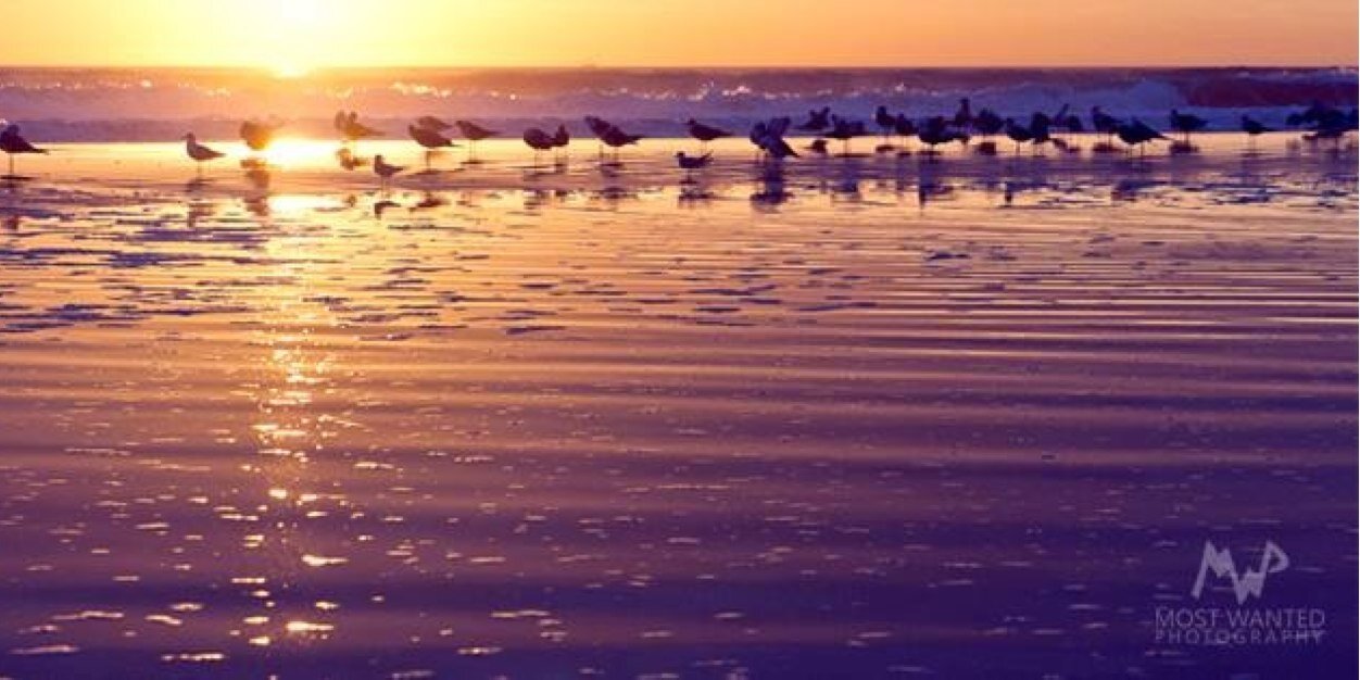 jsauerphoto's profile banner image