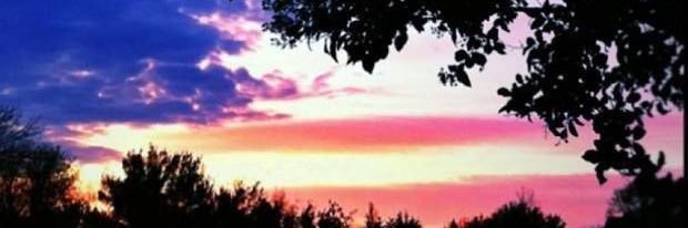 Linda banner