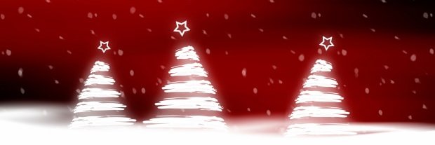 RSAmeliawill's profile banner image