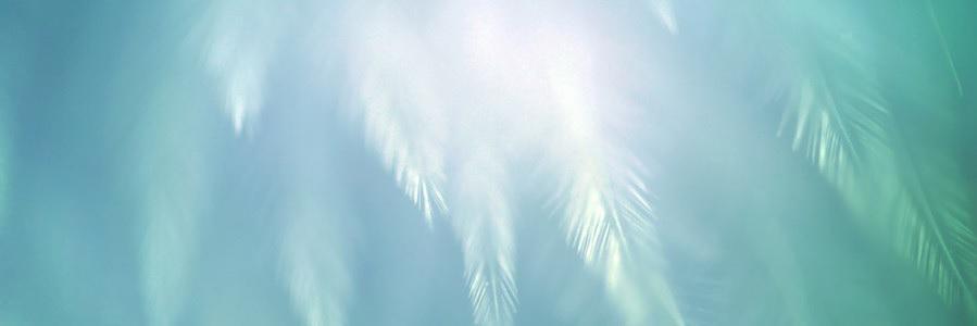 As_Airone's profile banner image