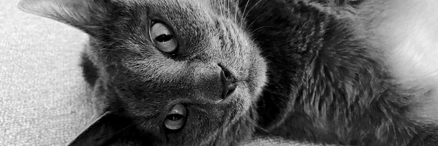 eyecatch_hs's profile banner image