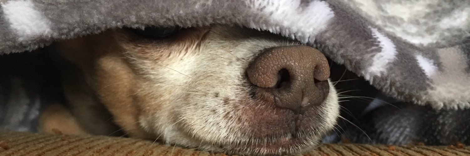 baileelx's profile banner image
