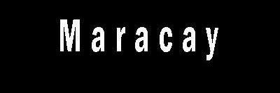 aragua2's profile banner image
