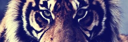 simonasr12's profile banner image