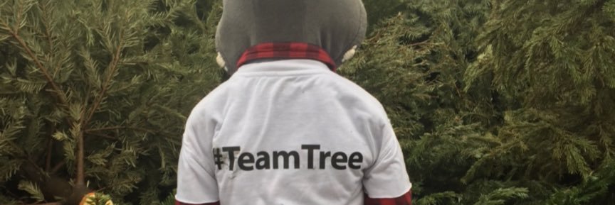 Teamtreerocks's profile banner image