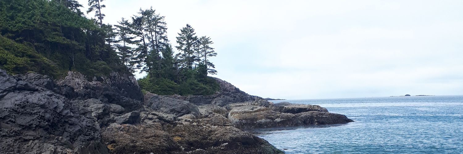 canada246246's profile banner image